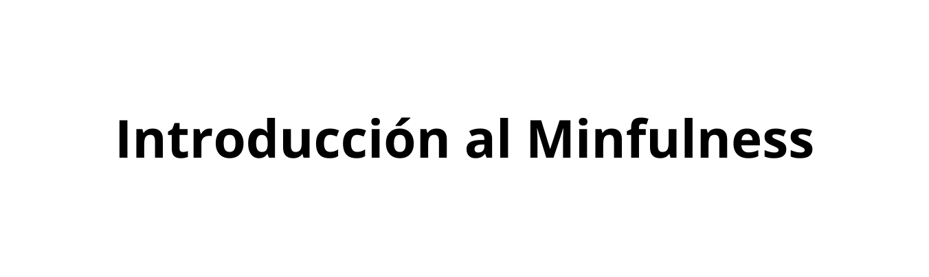 Introducción al Minfulness